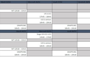 Organisation des cours pendant les vacances d'Hiver