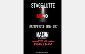 Stage Lutte olympique U13 - U15 - U17